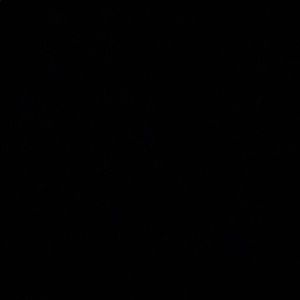 Meet your Posher, Karah